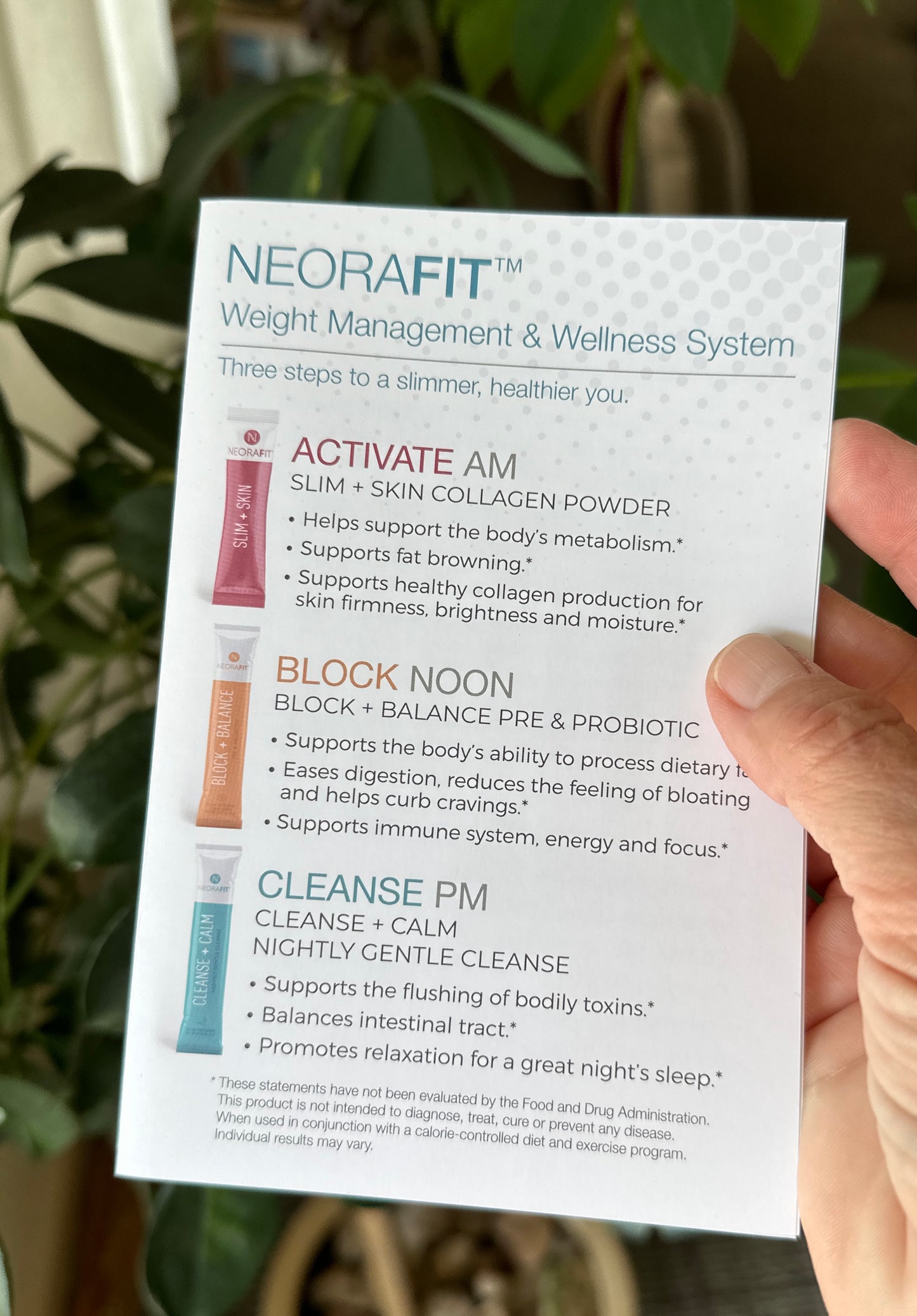 Neora Fit Mini Pamphlet -- 25 Pack